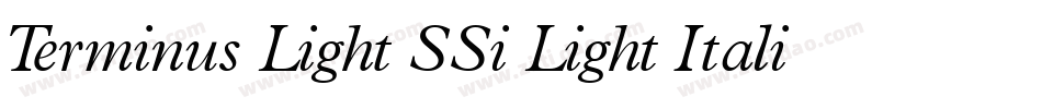 Terminus Light SSi Light Italic字体转换